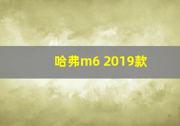 哈弗m6 2019款